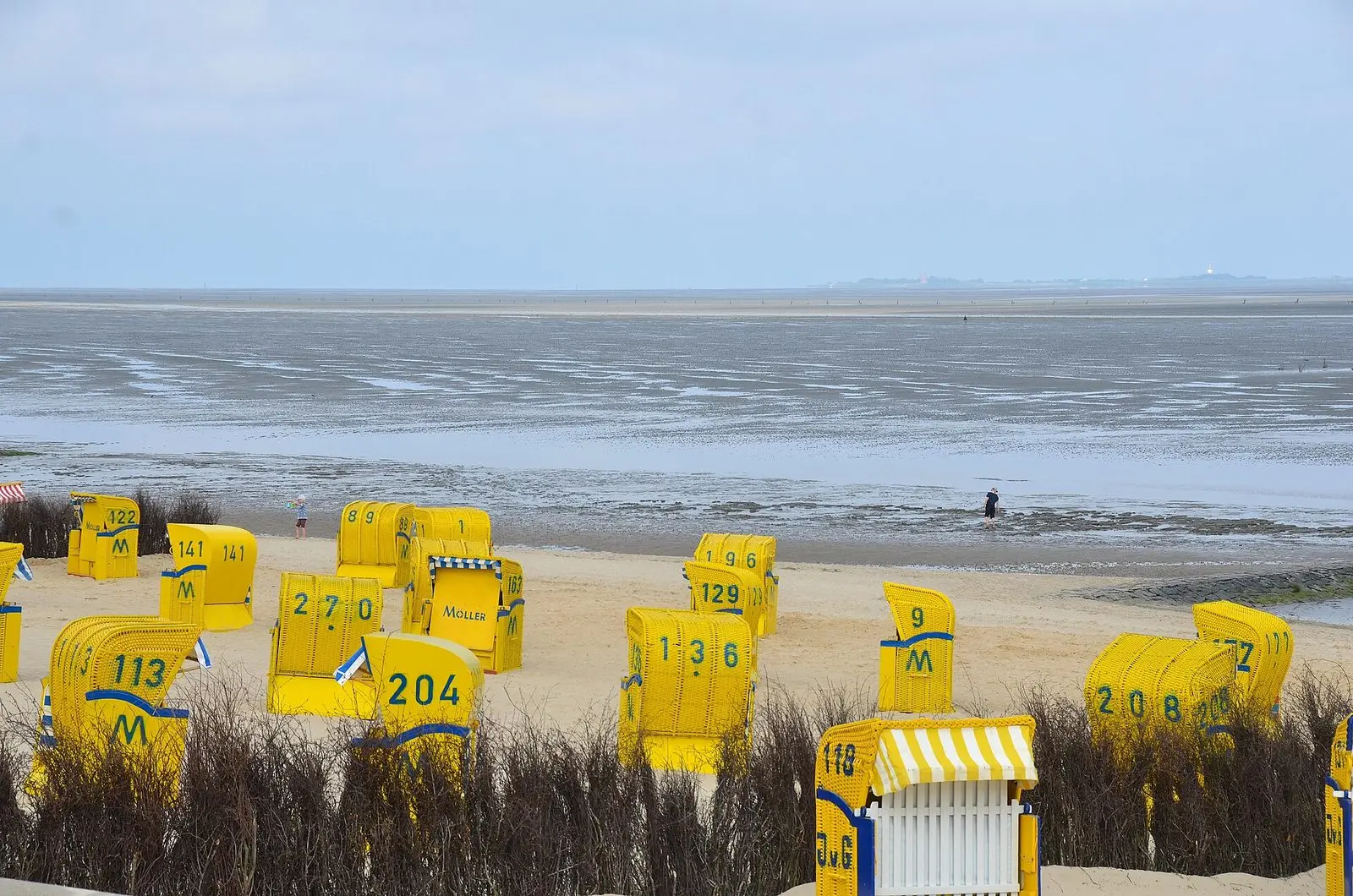Gelbe Strandkörbe am Strand von Duhnen mit Blick über das Wattenmeer bei Ebbe
