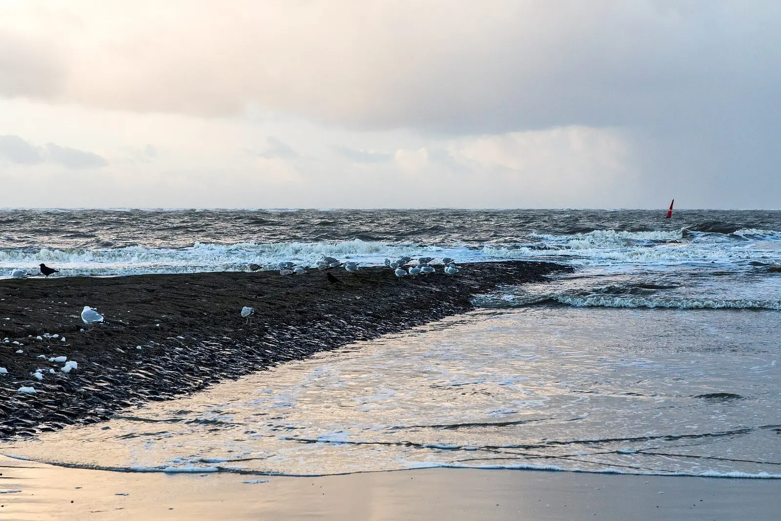Buhne am Weststrand von Norderney mit Blick aufs Meer