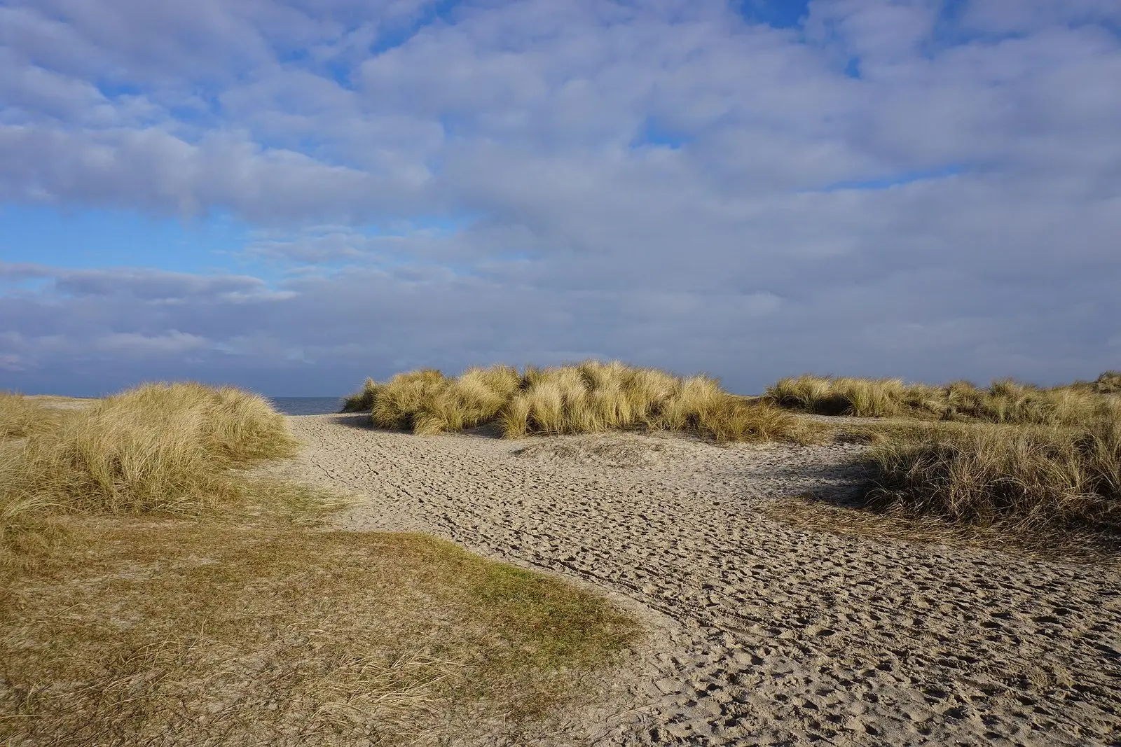 Sandweg durch die Dünen mit Strandhafer am Strand von Schillig