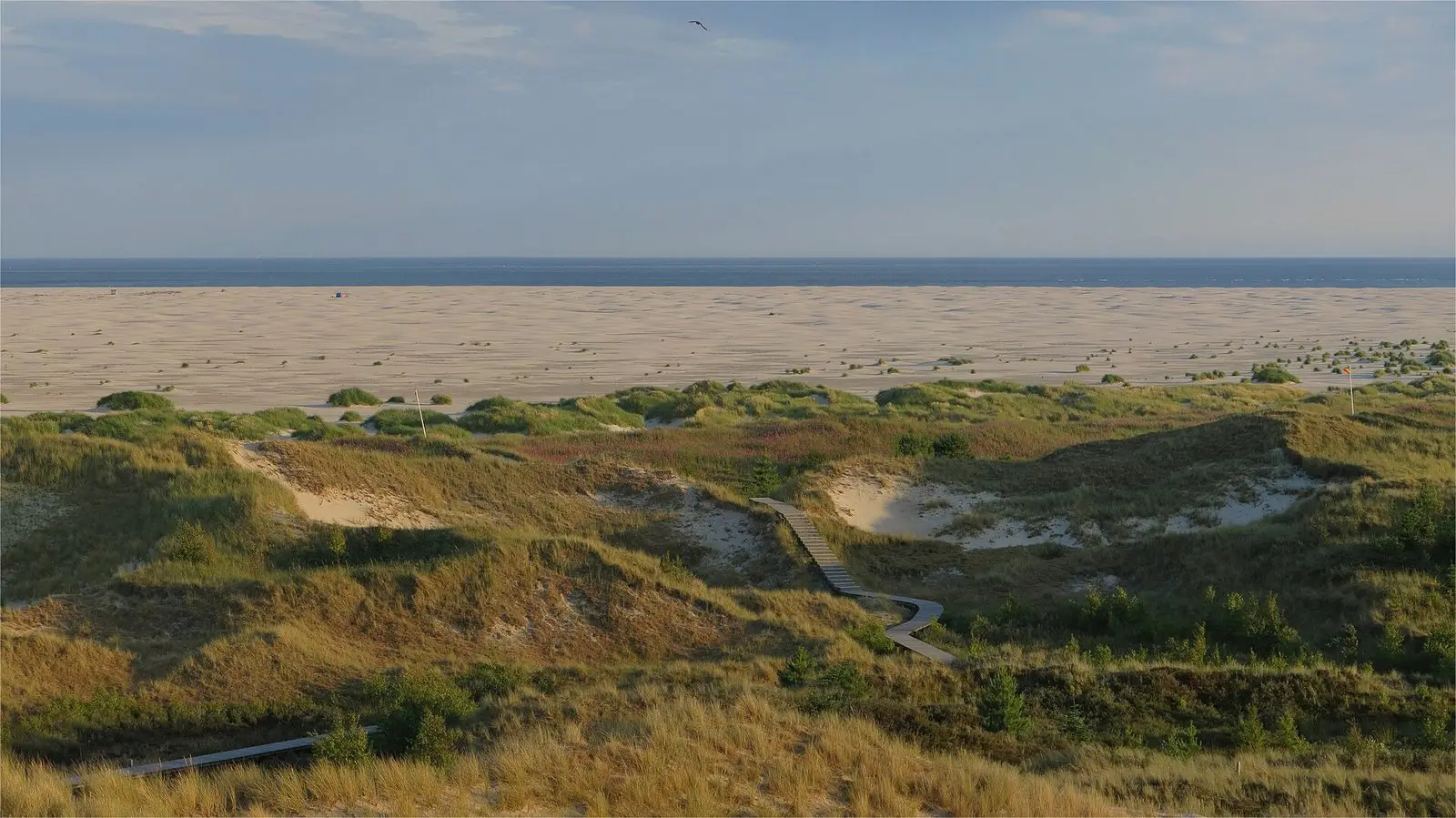 Dünenlandschaft mit Bohlenweg und dahinter der breite Kniepsand bei Wittdün