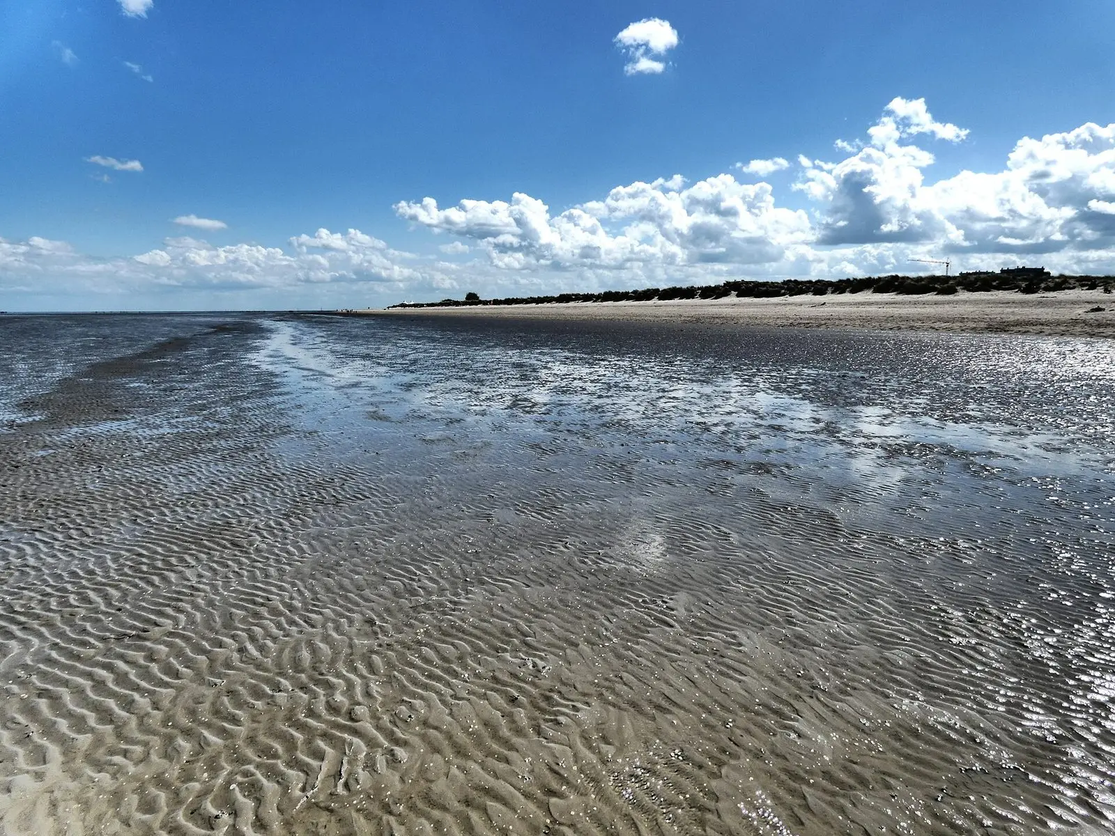 Rippelmarken und Wasser im Watt vor Schillig bei Sonnenschein
