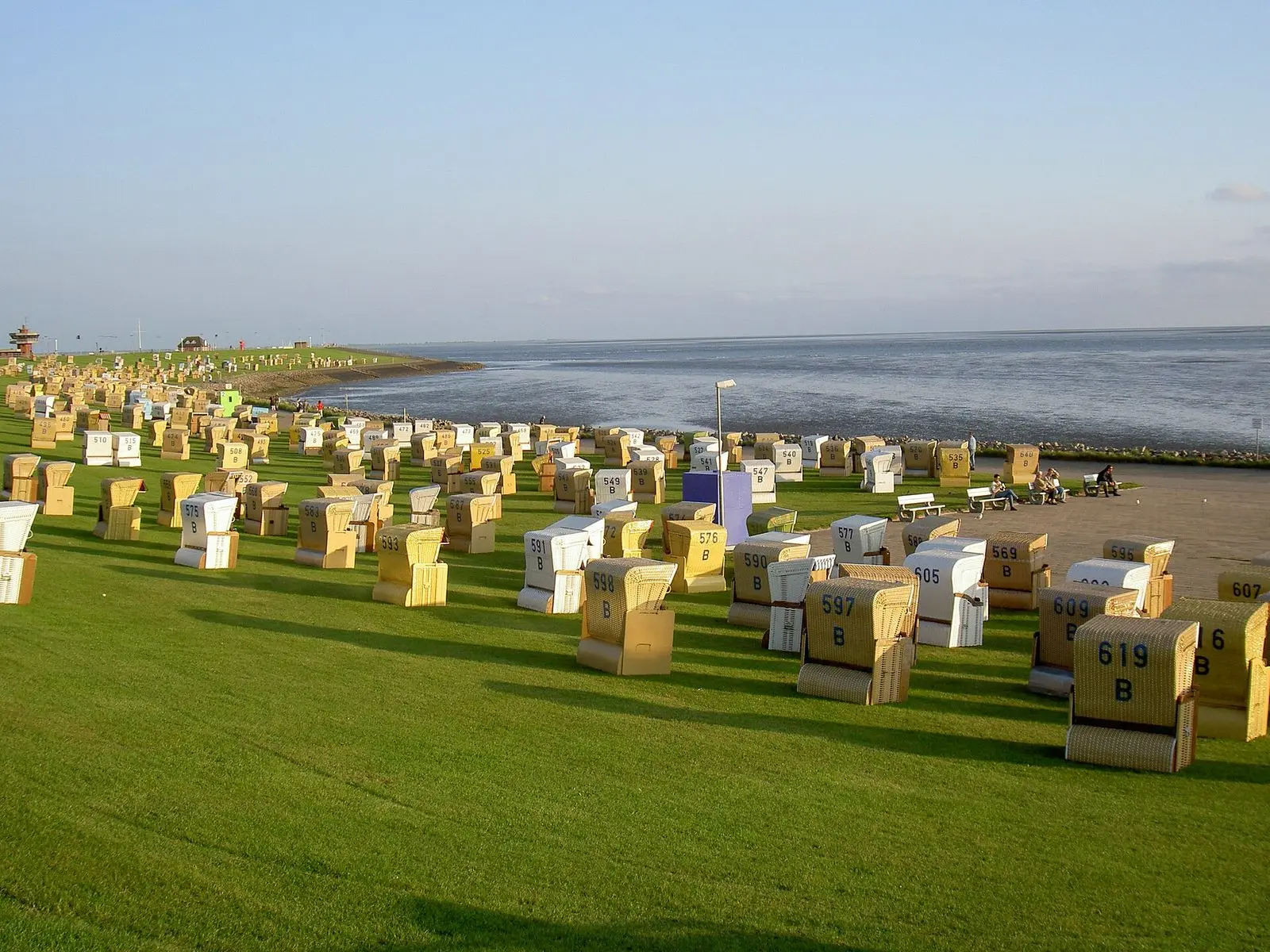 Viele Strandkörbe auf der Wiese am Südstrand von Büsum vor dem Watt