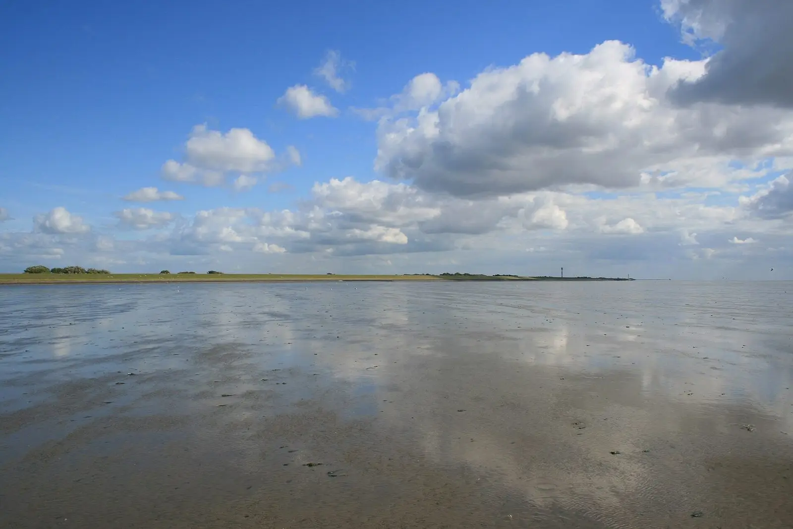 Spiegelndes Watt im Jadebusen vor dem Deich von Tossens