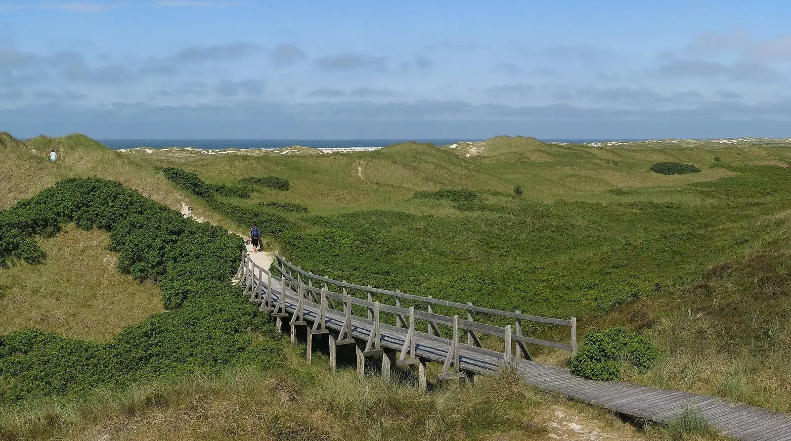 Holzbohlenweg durch grüne Dünen zum Strand bei Nebel