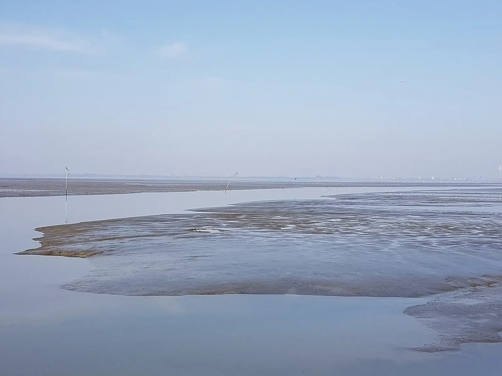 Wattflächen und Priele im Jadebusen bei Dangast