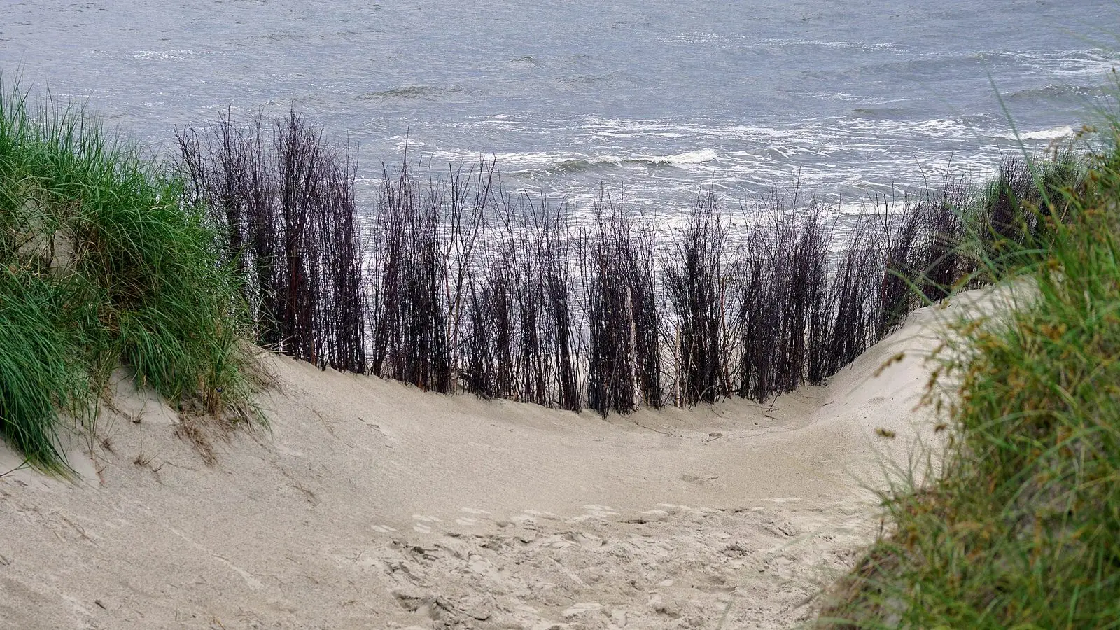 Dünen und Nordsee auf Norderney im Nationalpark Wattenmeer