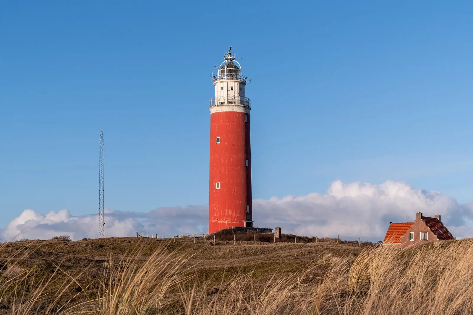 Roter Leuchtturm Eierland bei De Cocksdorp auf Texel hinter Dünengras