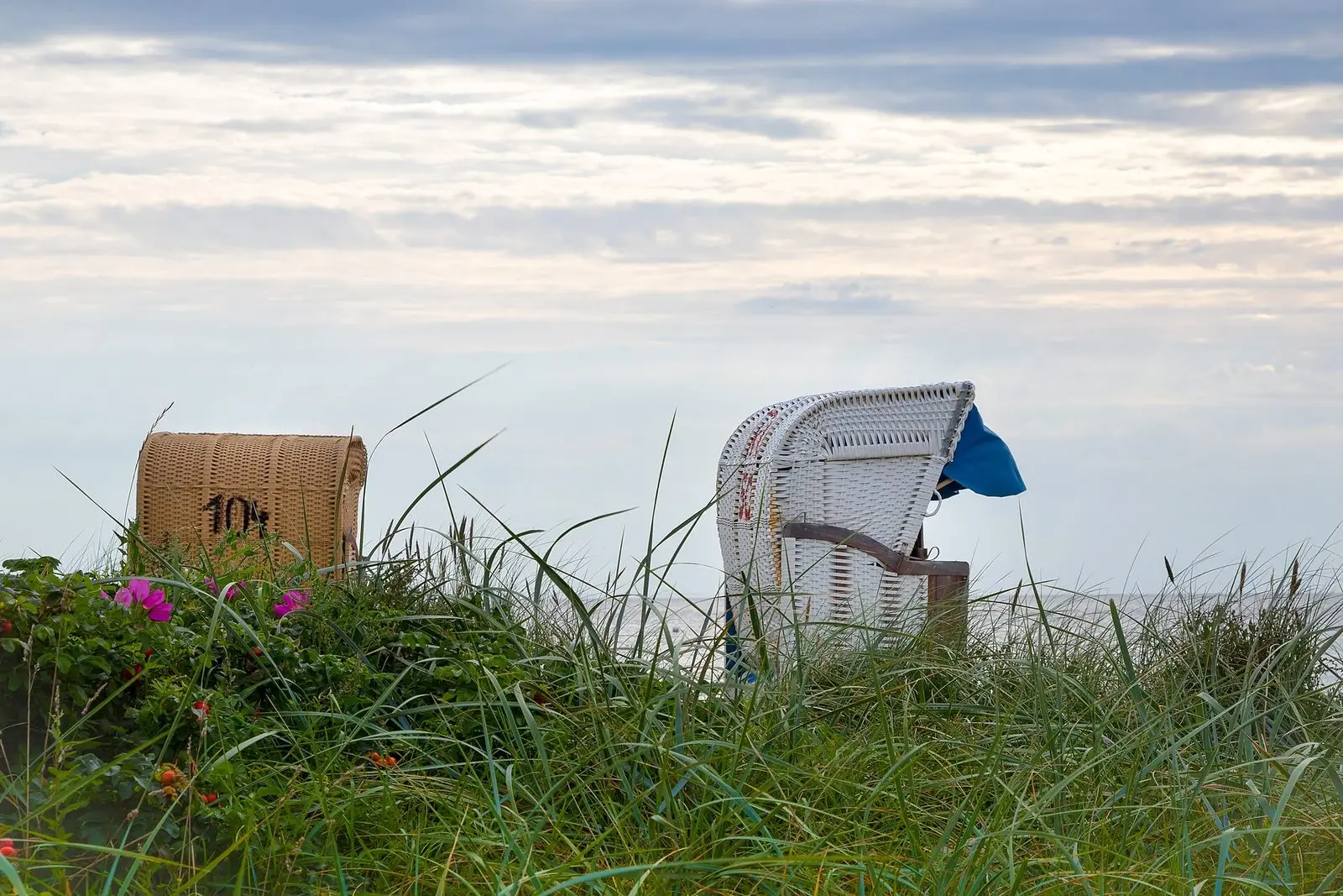 Strandkörbe in den Dünen am Strand von Bojendorf auf Fehmarn