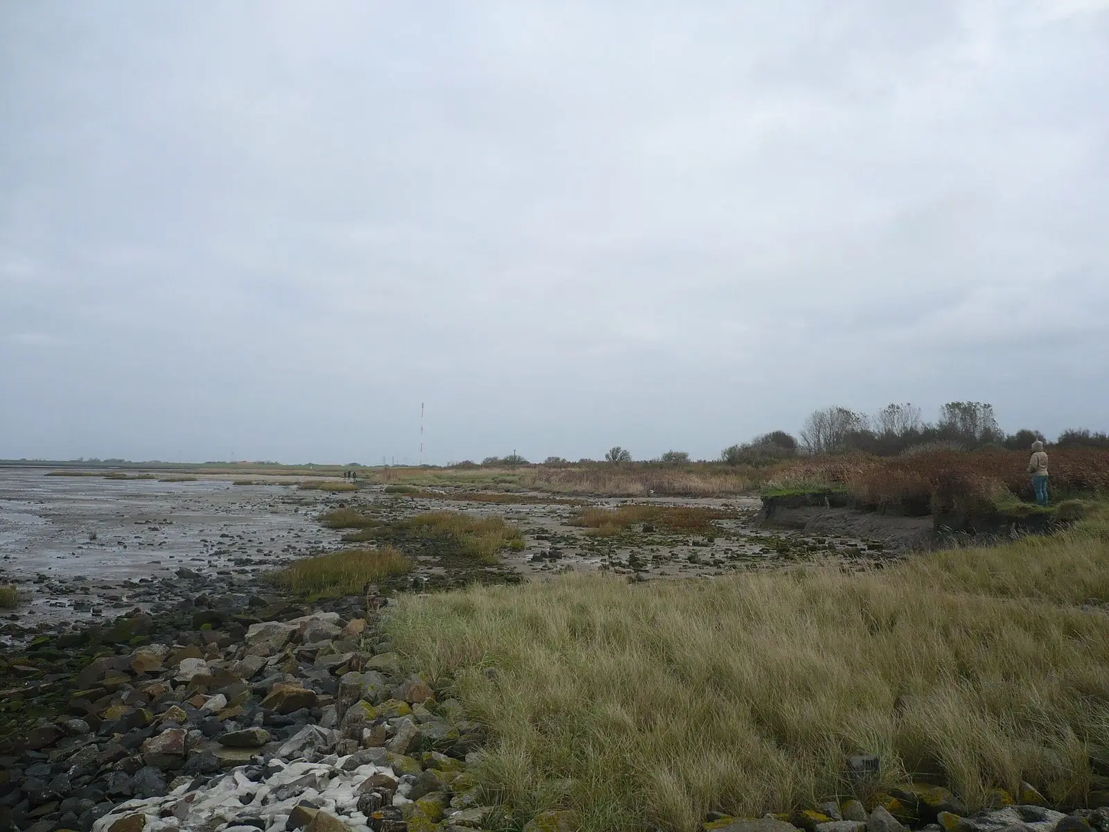 Dünengras und Steinbefestigung am Rand des Watts bei Bensersiel