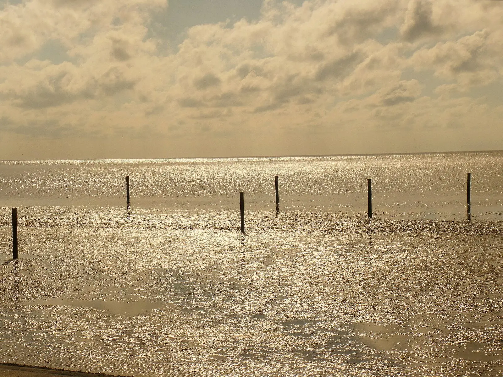 Goldenes Gegenlicht über dem Wattenmeer bei Norddeich mit Holzpfählen