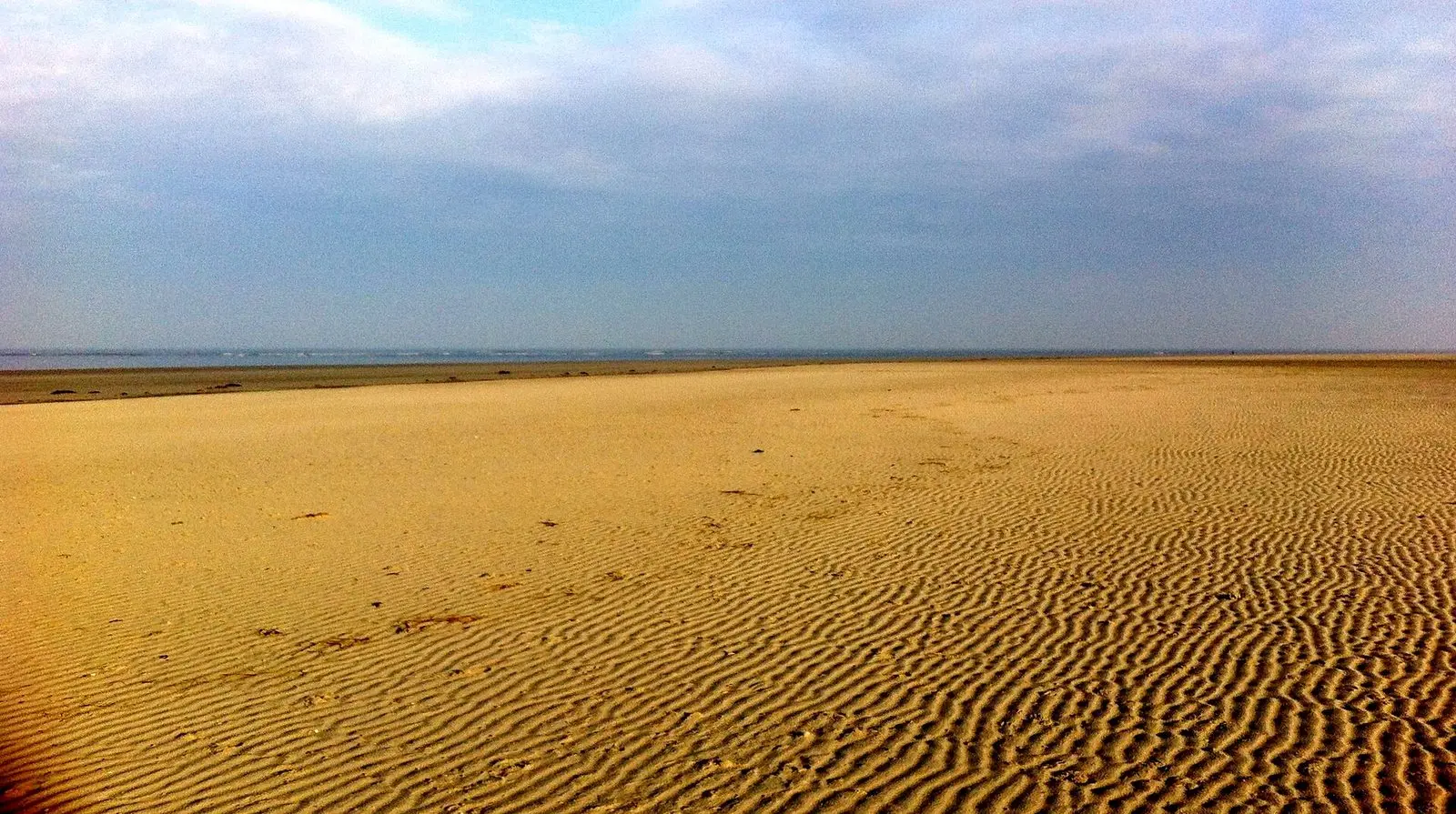 Sandrippel am nördlichen Strand von Langeoog bei Ebbe