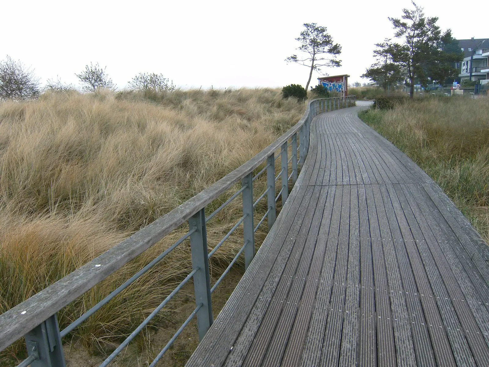 Bohlenweg durch die Dünen an der Strandpromenade von Niendorf (Timmendorfer Strand)