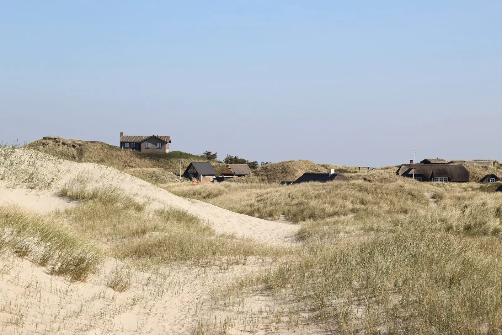 Dünenlandschaft in Søndervig mit Ferienhäusern