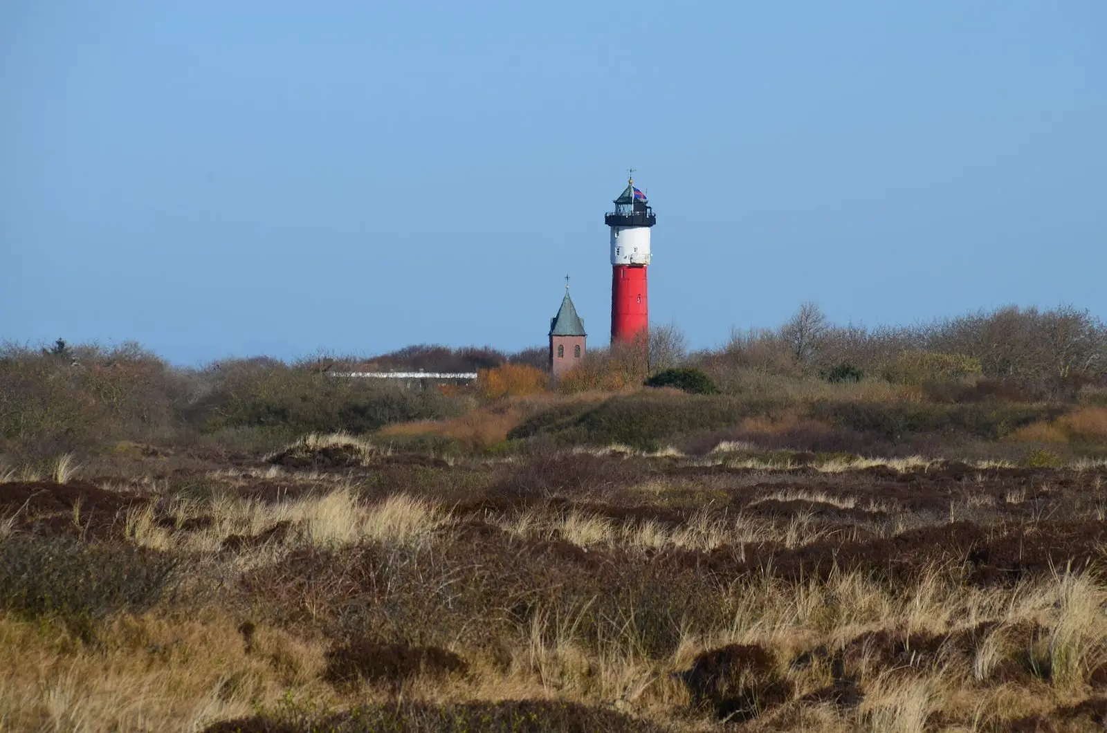 Rot-weißer Leuchtturm von Wangerooge über der Dünenheide