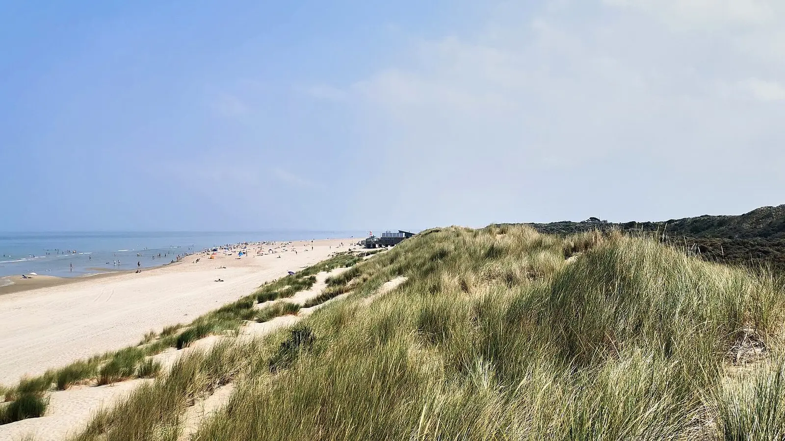 Dünen und breiter Strand von Renesse in Zeeland
