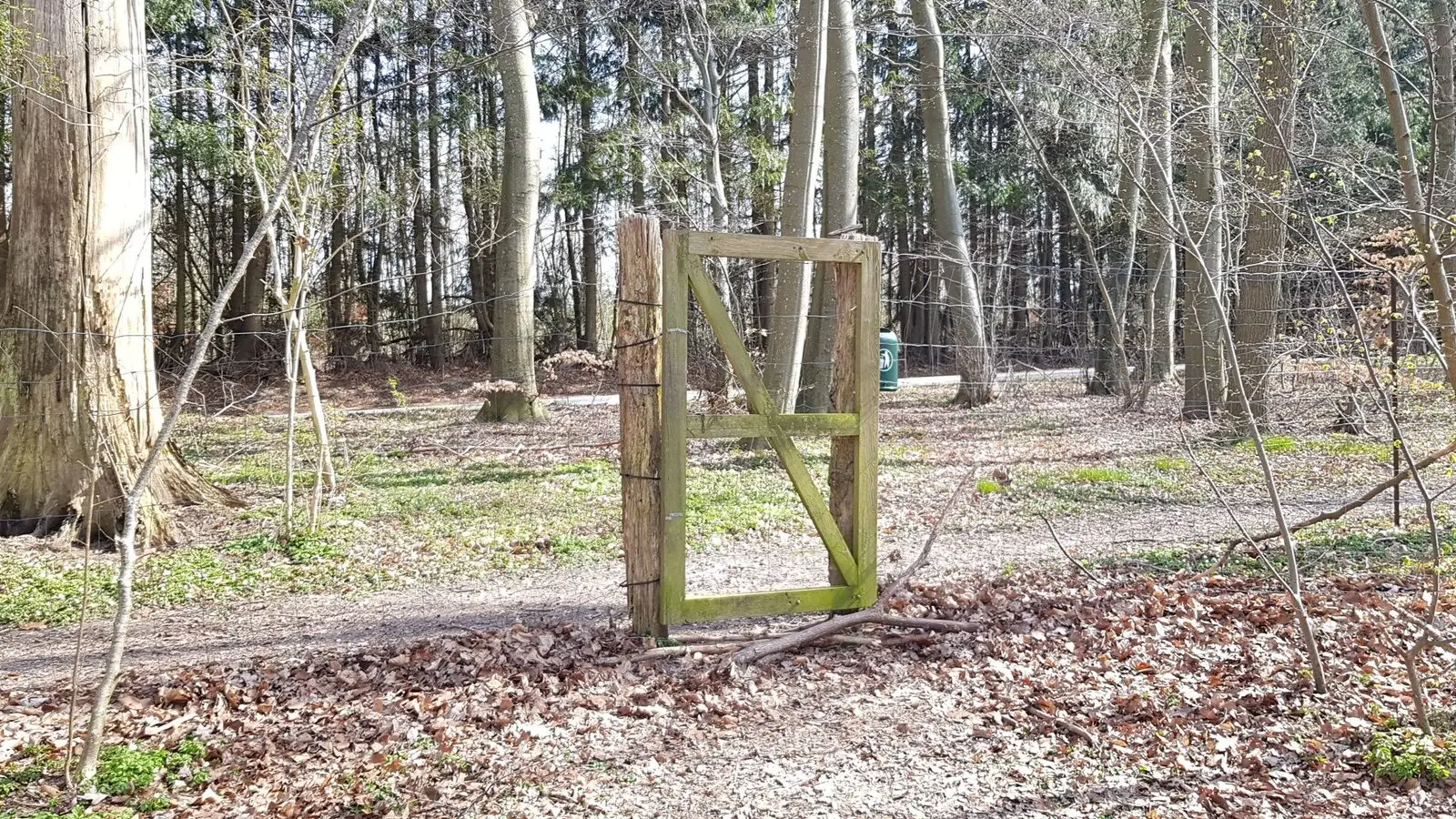 Holztor im Zaun der Hundeskov im Glumsø Østerskov