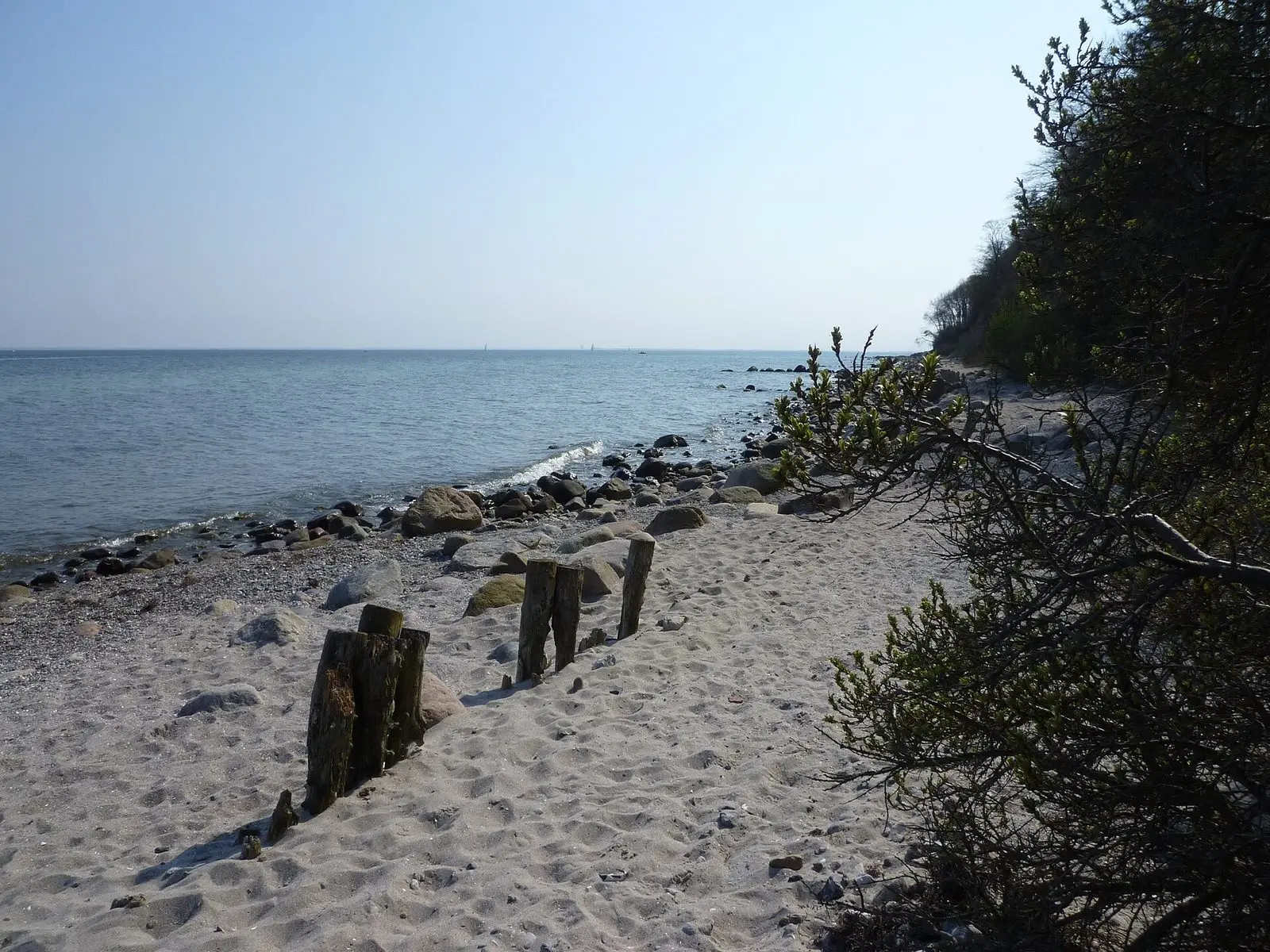 Naturstrand mit Steinen und Steilküste westlich des Yachthafens von Grömitz